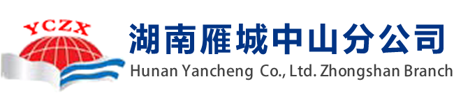 湖南雁城建设咨询